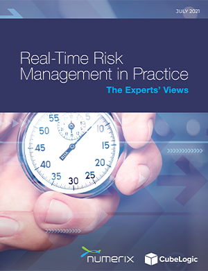 Real-Time Risk Management in Practice: The Experts’ Views